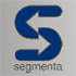 Deloitte México | Conózcanos | Calidad | Calidad en Servicios Profesionales | Segmenta