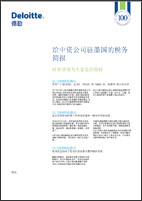 http://public.deloitte.com/media/0568/html/dtt_cover1.gif Insert title here