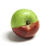 http://public.deloitte.com/media/0568/html/headshot1.gif Insert title here